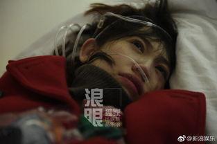 宝强哥最新爆料新闻,最新爆料揭露惊人内幕